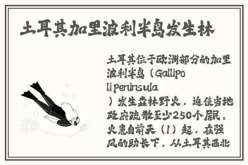 九色精品视频在线观看